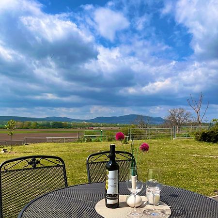 Penzion U vinařství Zaječí Exterior foto